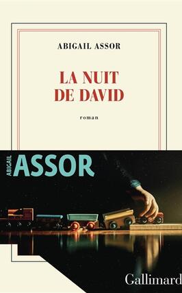 La nuit de David_Gallimard_9782073074263.jpg