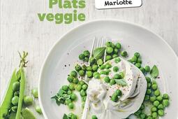 Plats veggie : petits plats en équilibre.jpg