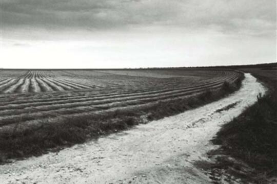 Olivier Verley  Dans le sens du paysage  exposit_Lienart editions_Musee dart et dhistoire LouisSenlecq_9782359061949.jpg