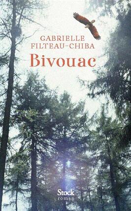 Bivouac_Stock_9782234092938.jpg