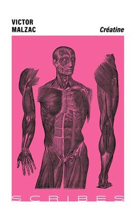 Creatine_Gallimard_9782073026583.jpg