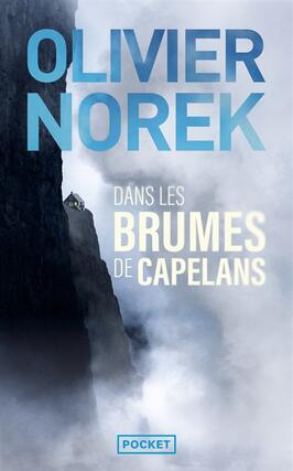 Dans les brumes de Capelans.jpg