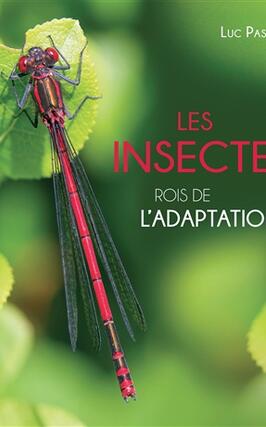 Les insectes : rois de l'adaptation.jpg