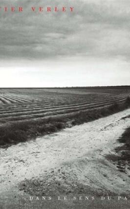 Olivier Verley  Dans le sens du paysage  exposit_Lienart editions_Musee dart et dhistoire LouisSenlecq_9782359061949.jpg