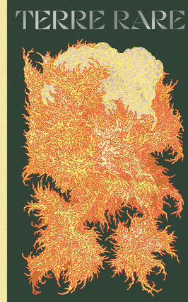 Terre rare_Editions 2024_9782383870104.jpg