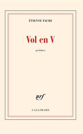 Vol en V : poèmes.jpg
