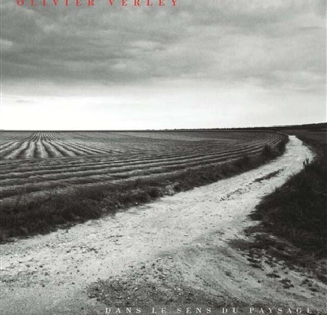 Olivier Verley  Dans le sens du paysage  exposit_Lienart editions_Musee dart et dhistoire LouisSenlecq_9782359061949.jpg
