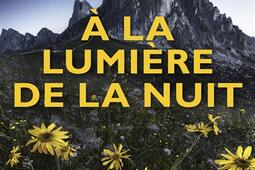 A la lumière de la nuit.jpg