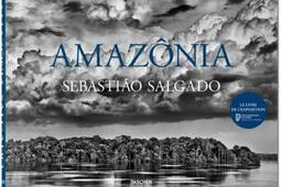 Amazônia.jpg