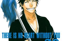 Bleach. Vol. 30. There is no heart without you.jpg
