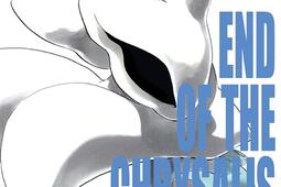 Bleach. Vol. 47. End of the chrysalis age.jpg