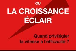 Blitzscaling ou La croissance éclair : quand privilégier la vitesse à l'efficacité ?.jpg