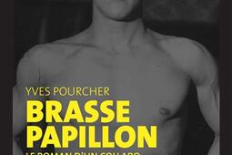 Brasse papillon : le roman d'un collabo.jpg