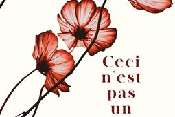 Ceci n'est pas un fait divers.jpg
