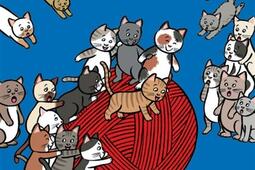 Cent petits chats.jpg