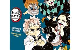 Coffret Demon slayer : tome 22 + roman tome 3.jpg