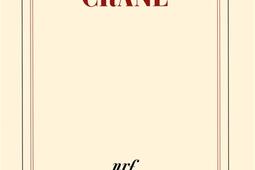 Crâne.jpg