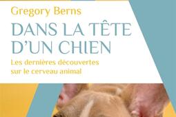 Dans la tête d'un chien : les dernières découvertes sur le cerveau animal.jpg