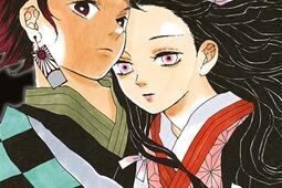 Demon slayer : Kimetsu no yaiba. Vol. 1.jpg