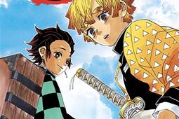 Demon slayer : Kimetsu no yaiba. Vol. 3.jpg