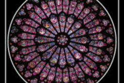Dieu sait-il ce qu'il fait ? : cosmologie et spiritualité.jpg