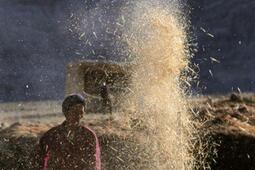 Faim zéro : en finir avec la faim dans le monde.jpg