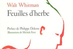 Feuilles d'herbe.jpg