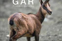 Gar : Pyrénées sauvages.jpg