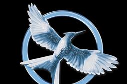 Hunger games Vol 3 La revolte_Pocket jeunesse.jpg