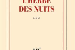 L'herbe des nuits.jpg