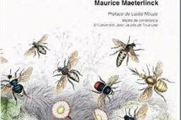 La vie des abeilles.jpg