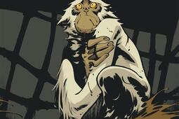 Le DieuFauve_Dargaud_9782505085645.jpg
