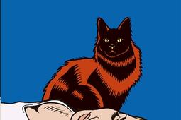 Le chat qui ne pouvait pas tourner.jpg