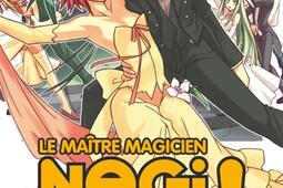 Le maître magicien Negima !. Vol. 29.jpg