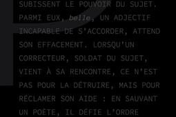 Le panseur de mots.jpg