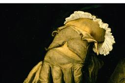 Le vicomte de Bragelonne. Vol. 2.jpg
