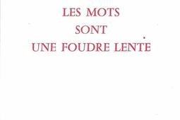 Les mots sont une foudre lente_Rougerie_9782856684214.jpg