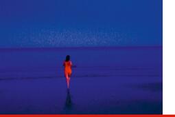 Les nuits bleues.jpg