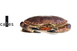 Ma cruauté.jpg