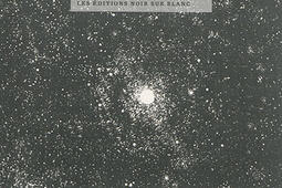Manifeste incertain. Vol. 4. La liberté obligatoire, Gobineau l'irrécupérable.jpg