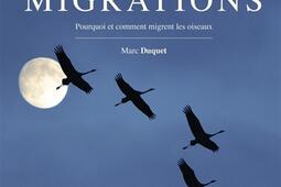 Migrations : pourquoi et comment migrent les oiseaux.jpg
