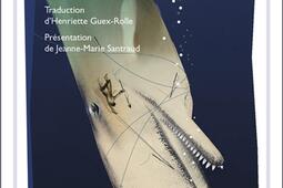 Moby Dick.jpg