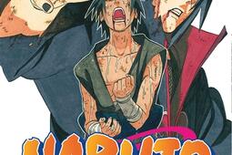 Naruto. Vol. 43.jpg