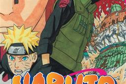 Naruto. Vol. 46.jpg