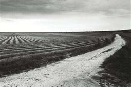 Olivier Verley  Dans le sens du paysage  exposit_Lienart editions_Musee dart et dhistoire LouisSenlecq_9782359061949.jpg