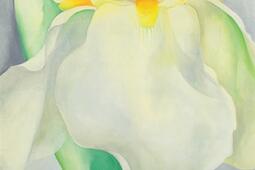 Peindre au corps à corps : les fleurs et Georgia O’Keeffe.jpg
