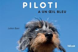 Piloti a un oeil bleu.jpg
