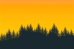 Quand la forêt brûle : penser la nouvelle catastrophe écologique.jpg