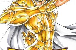 Saint Seiya : les chevaliers du zodiaque : the lost canvas chronicles, la légende d'Hadès. Vol. 5.jpg