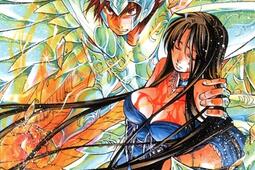 Saint Seiya : les chevaliers du zodiaque : the lost canvas, la légende d'Hadès. Vol. 22.jpg